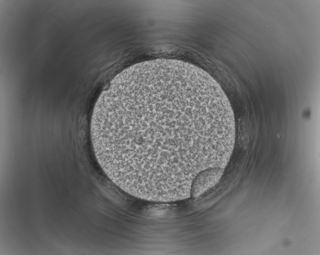 X0000116610563201001221321