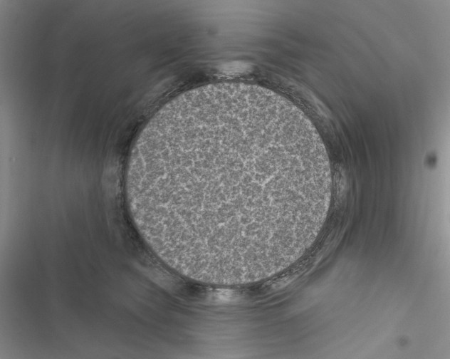 X0000116610565201001221321