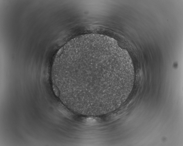 X0000116610566201001221321