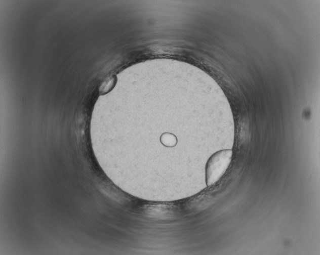 X0000116610567201001221321