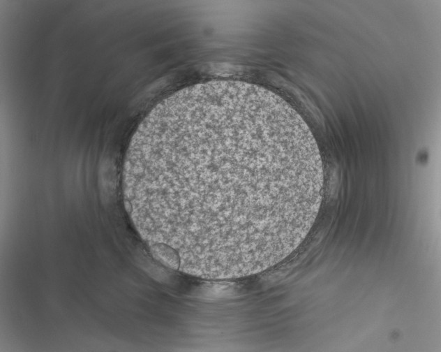 X0000116610569201001221321