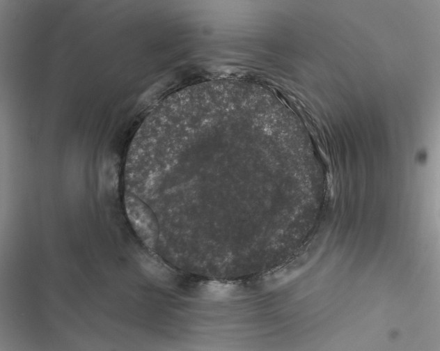 X0000116610570201001221321