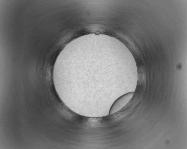 X0000116610573201001221321