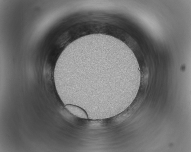 X0000116610574201001221321