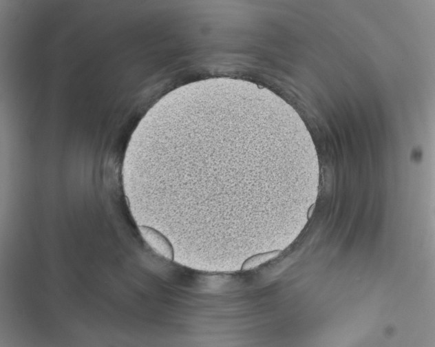 X0000116610575201001221321