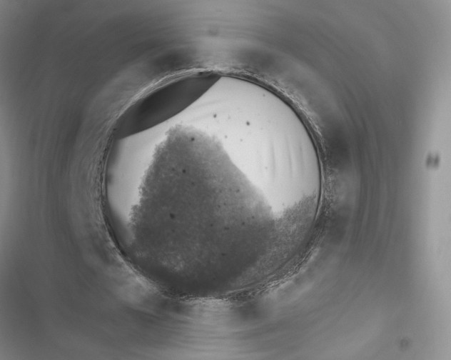 X0000116610577201001221321