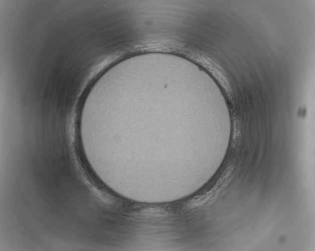 X0000116610578201001221321