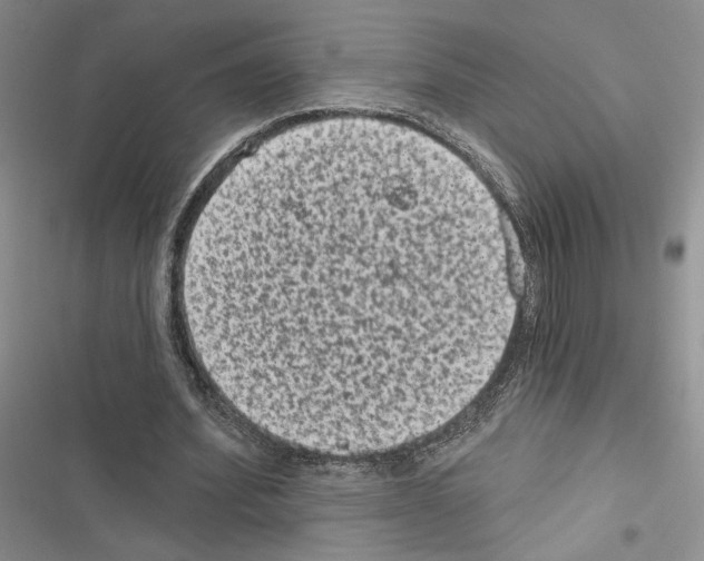 X0000116610580201001221321