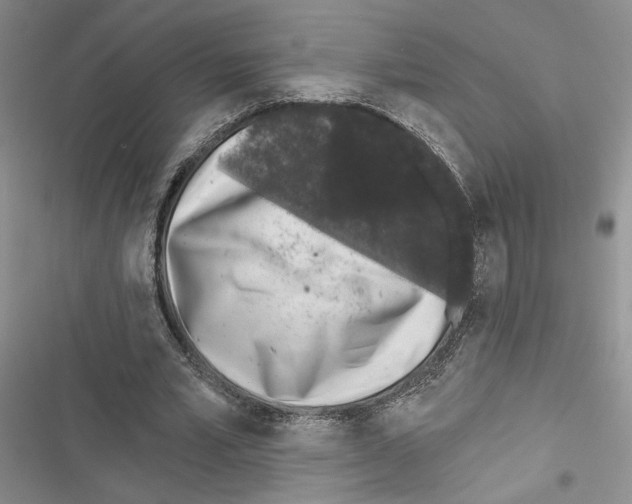 X0000116610581201001221321