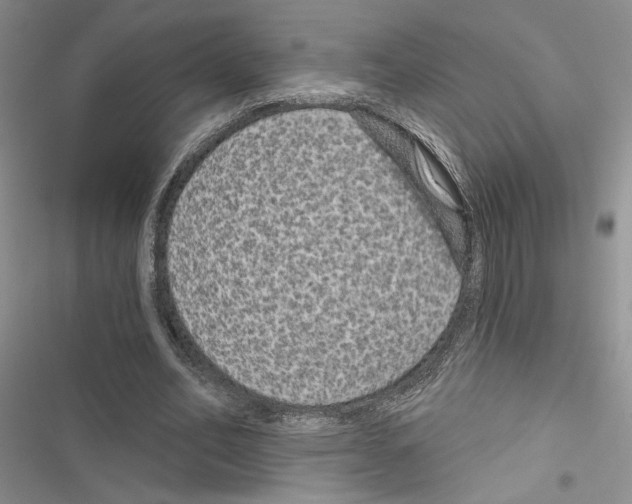 X0000116610582201001221321