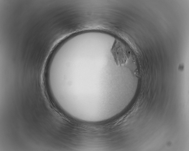 X0000116610583201001221321