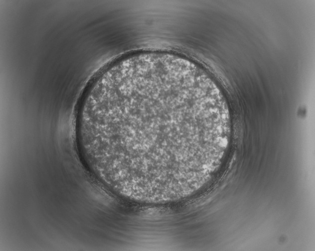 X0000116610584201001221321