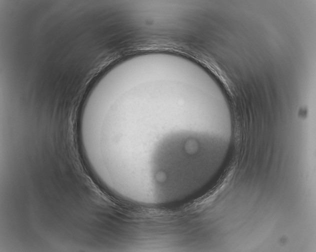 X0000116610585201001221320