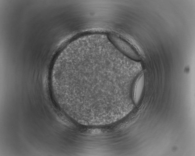 X0000116610588201001221320