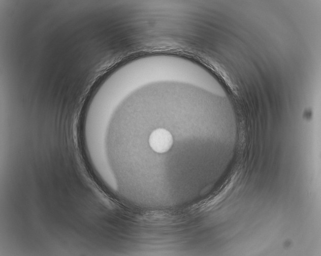 X0000116610589201001221320