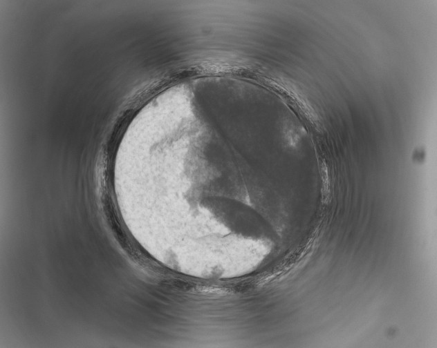 X0000116610590201001221320