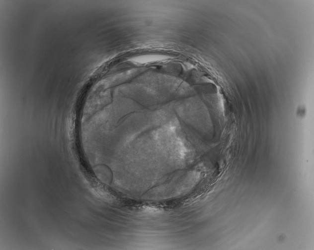 X0000116610592201001221320