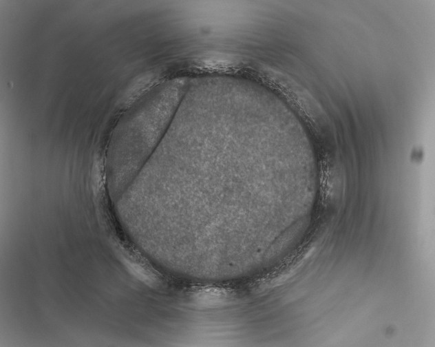 X0000116610593201001221320