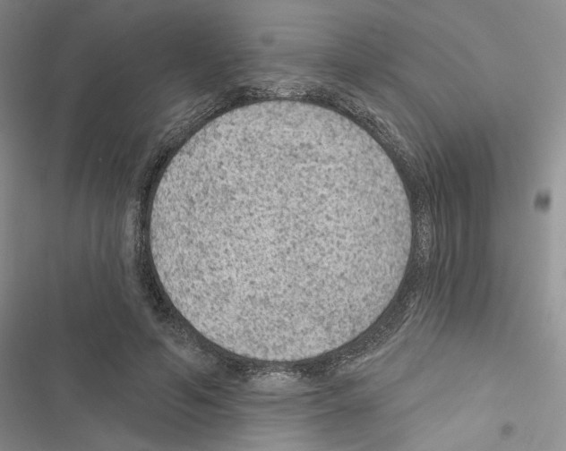 X0000116610594201001221320