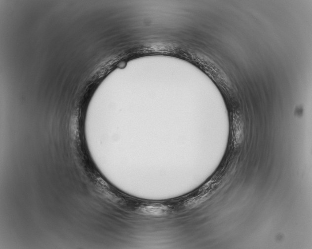 X0000116610595201001221320