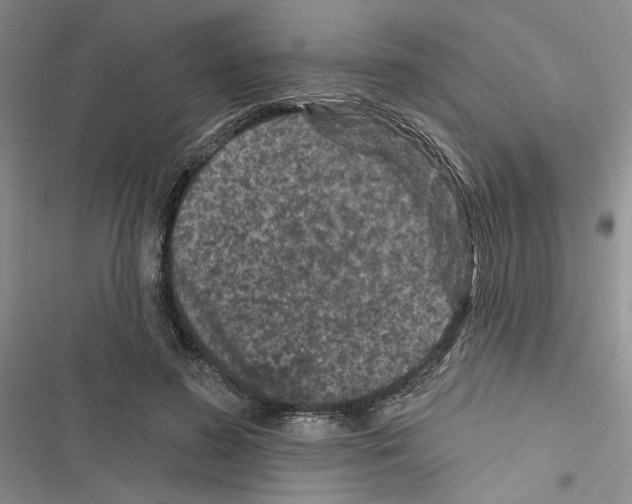 X0000116610596201001221320