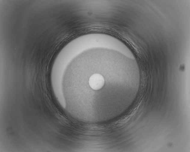 X0000116610597201001221320