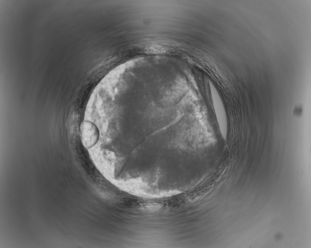 X0000116610598201001221320