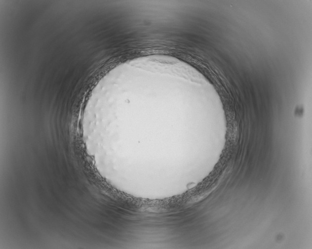 X0000116610599201001221320