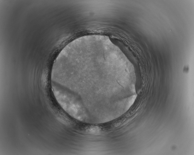 X0000116610600201001221320