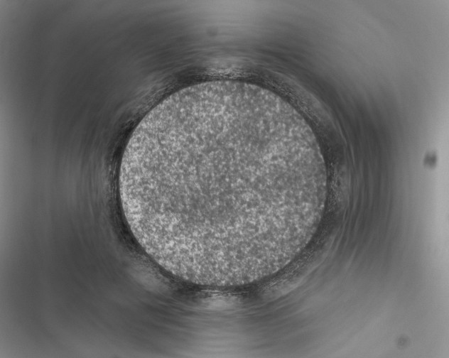 X0000116610601201001221320