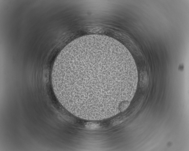 X0000116610602201001221320