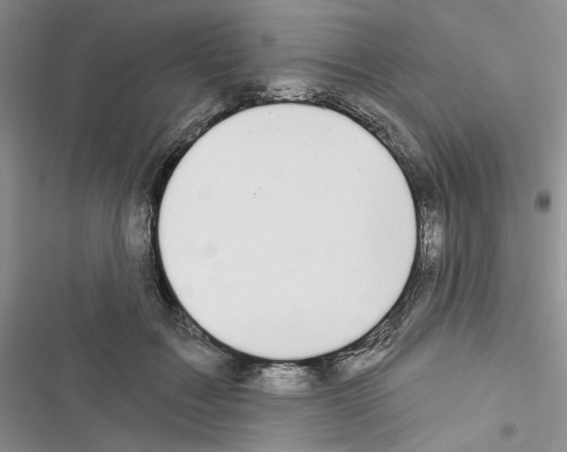 X0000116610603201001221320