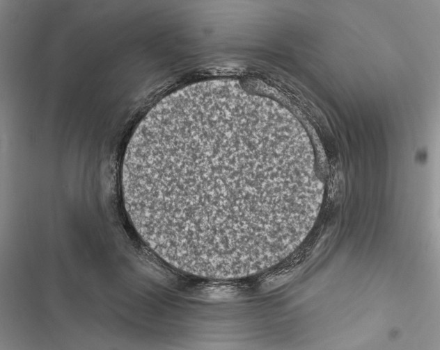 X0000116610604201001221320