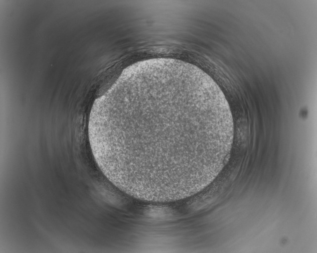 X0000116610605201001221320