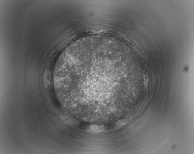 X0000116610606201001221320