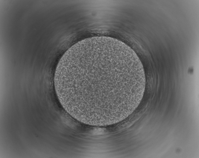 X0000116610609201001221320