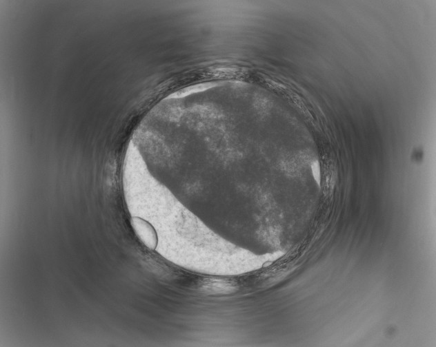 X0000116610610201001221320