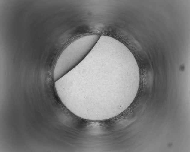 X0000116610611201001221320