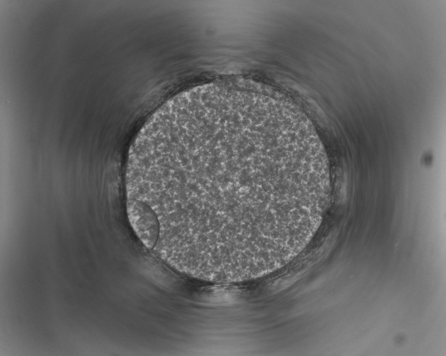 X0000116610612201001221320