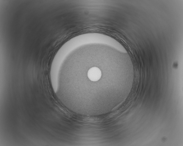 X0000116610617201001221320