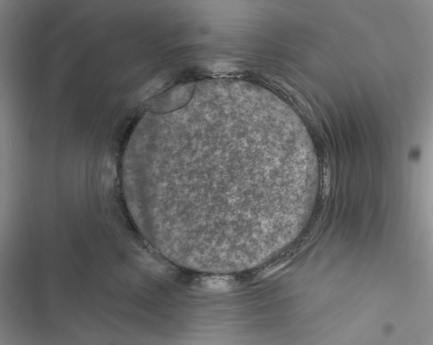 X0000116610618201001221320