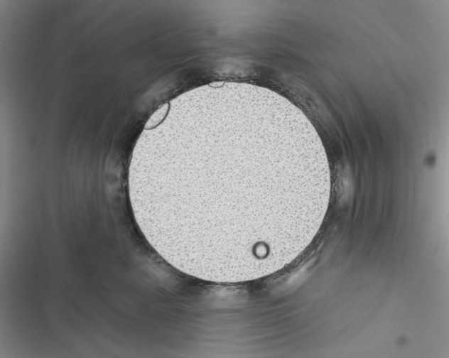 X0000116610619201001221320