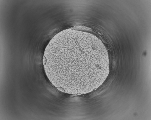 X0000116610620201001221320