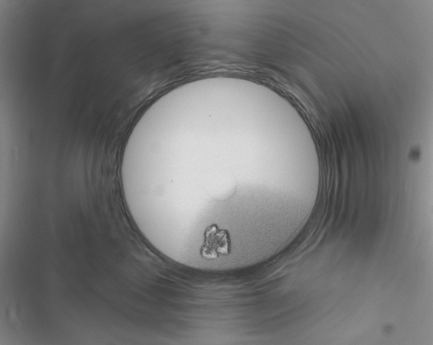 X0000116610621201001221320