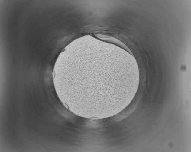 X0000116610624201001221320