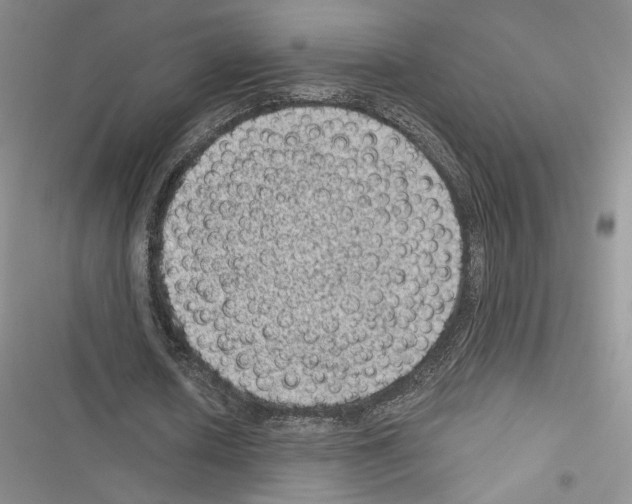 X0000116610626201001221319