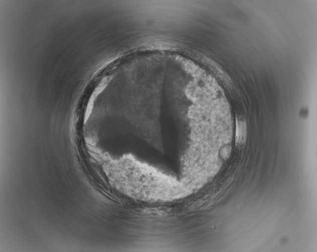 X0000116610627201001221319