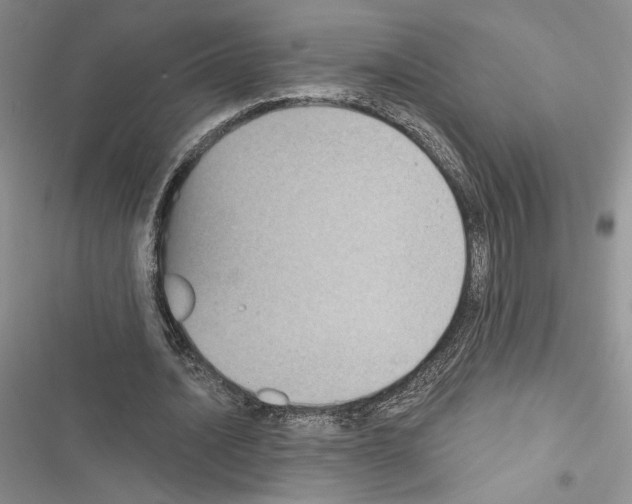 X0000116610628201001221319