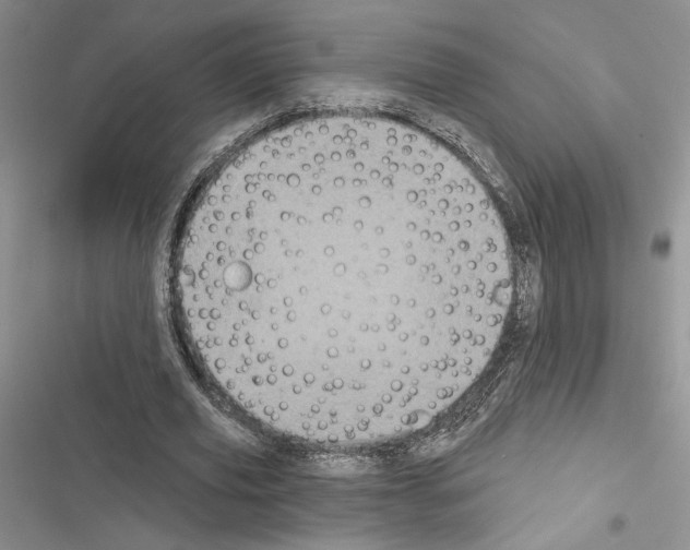 X0000116610629201001221319