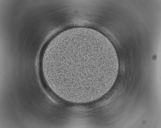 X0000116610630201001221319